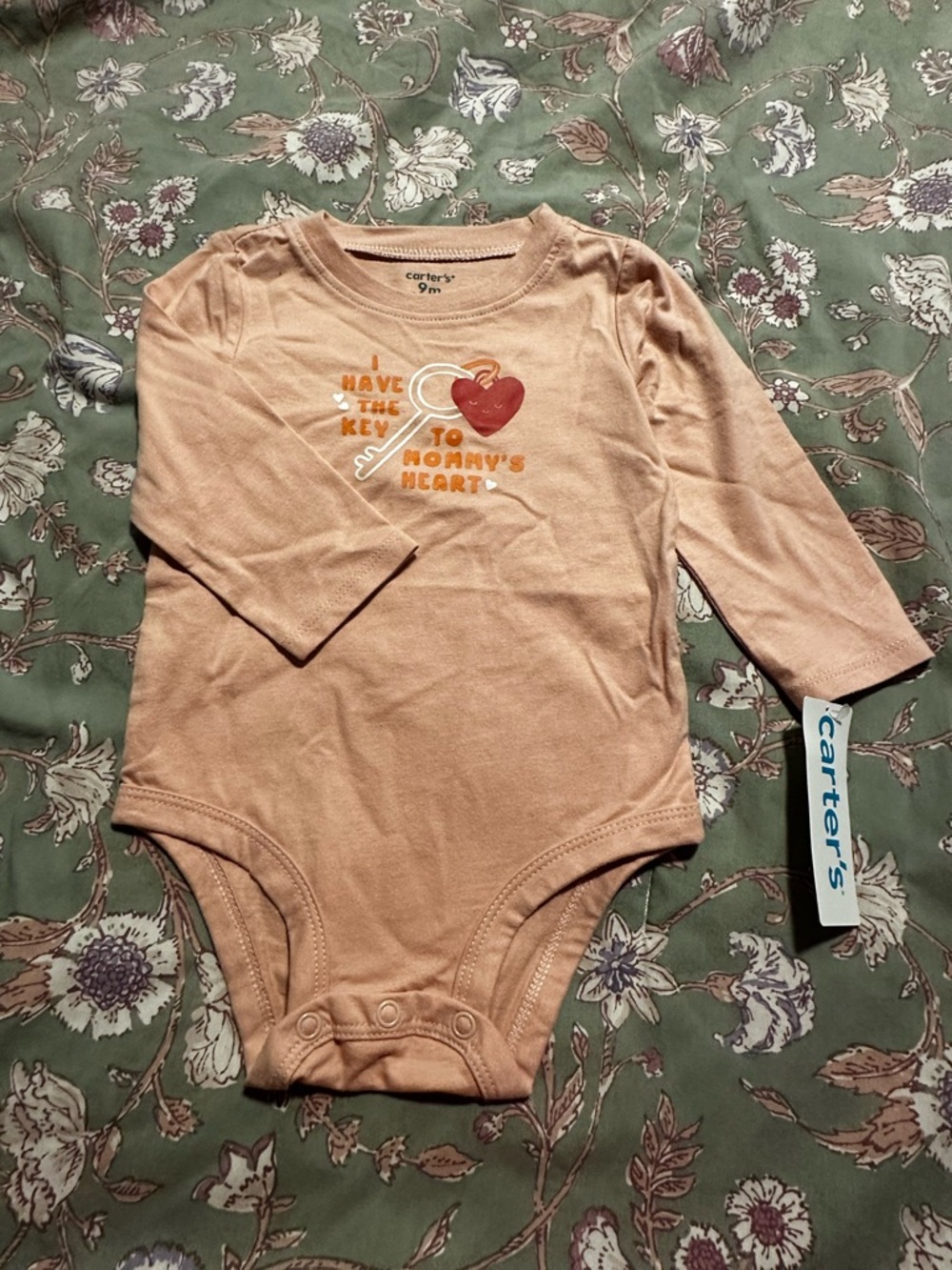 Baby Girl Long Sleeve Onesie 9M NWT